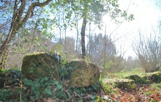 Castellaccio