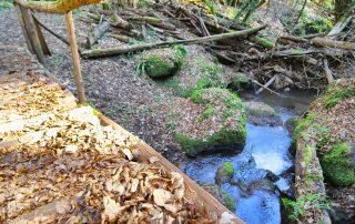 Francigena – Tinozzà (9)